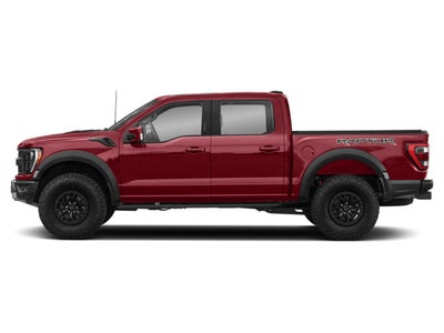 2023 Ford F-150 Raptor 4WD SuperCrew 5.5' Box