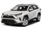 2019 Toyota RAV4 XLE Premium FWD (Natl)