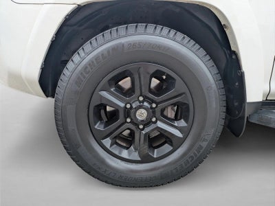 2014 Toyota 4Runner RWD 4dr V6 SR5 (Natl)